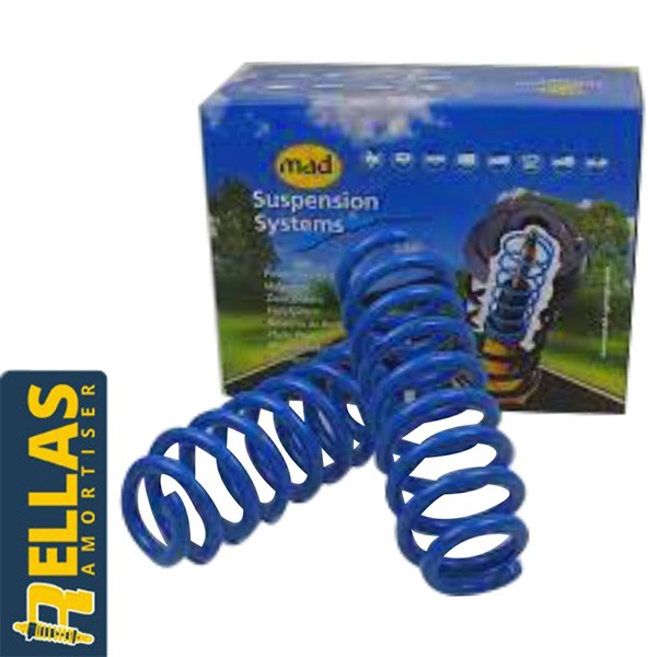 Rear Axis Springs MAD for Fiat Stilo Multiwagon(2003-2008) Image 0
